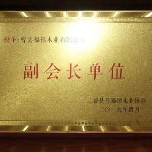 副會(huì)長單位